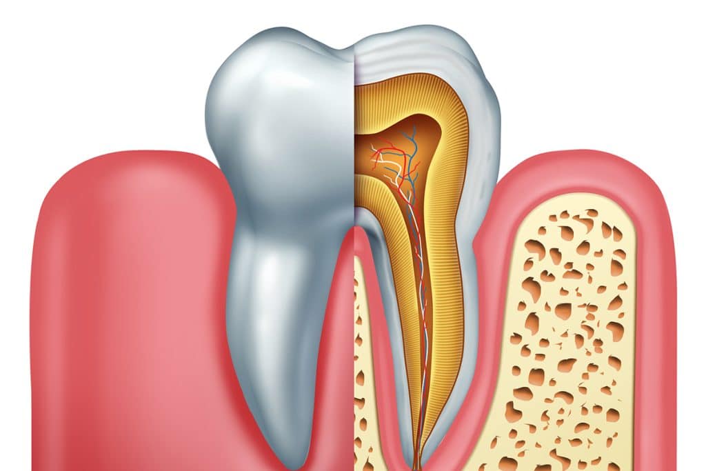Endodontic Surgery vs. Root Canal: What's the Difference?
